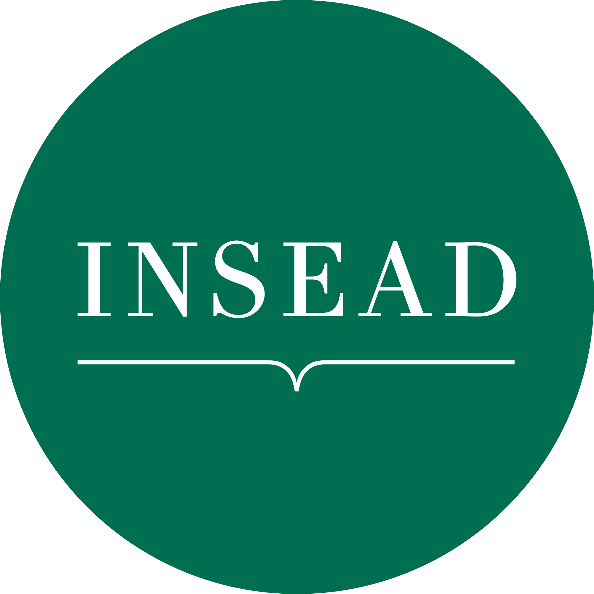Insead University Logo